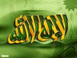 salut les amis